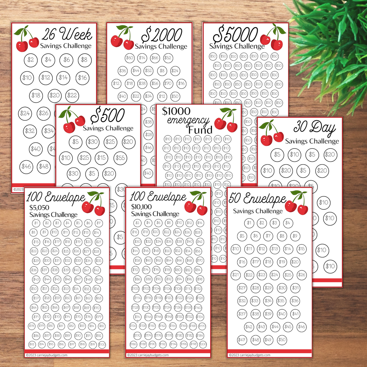 Beige Leaves A6 Savings Challenge Starter Set