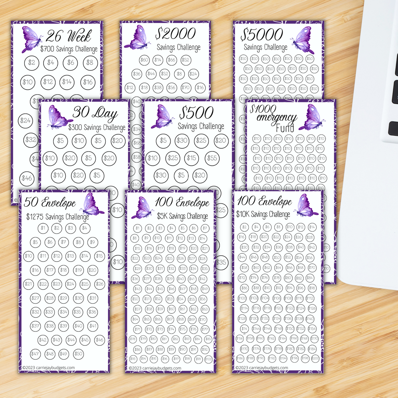 Beige Leaves A6 Savings Challenge Starter Set